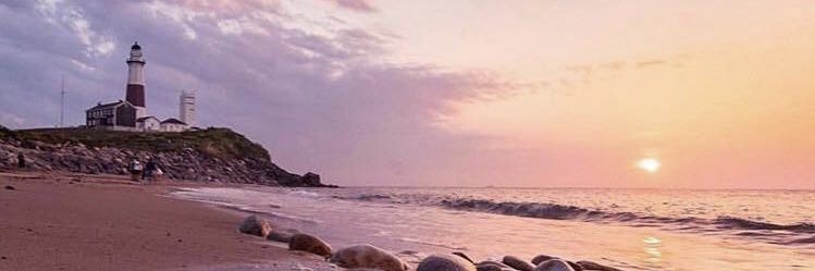 Tracey Lee banner