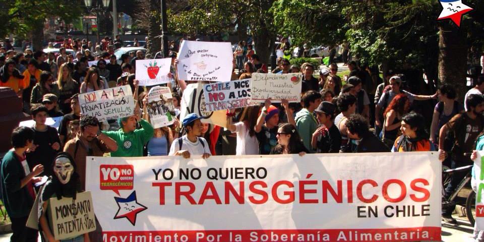 YNQTransgénicos banner