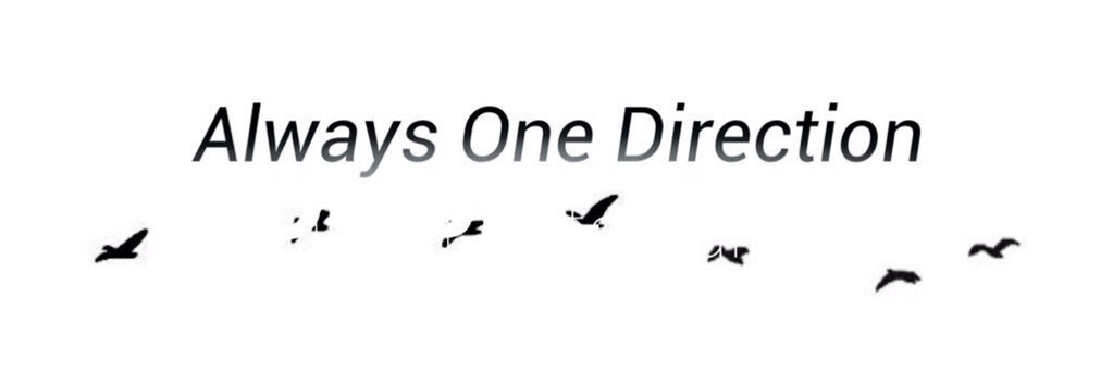 directionerleb1's profile banner image