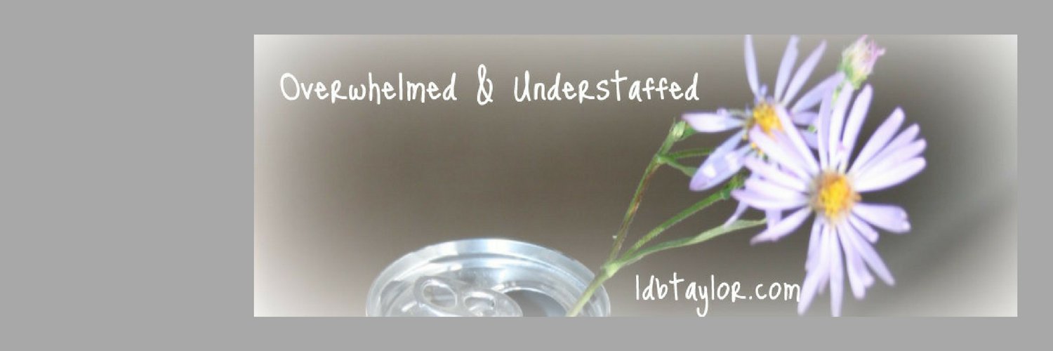 LDBTaylor's profile banner image