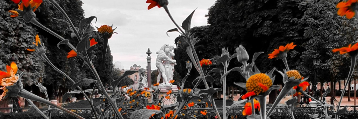 Thomaparis's profile banner image