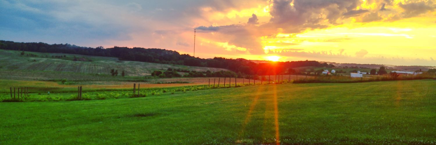 WinzerwaldWines's profile banner image