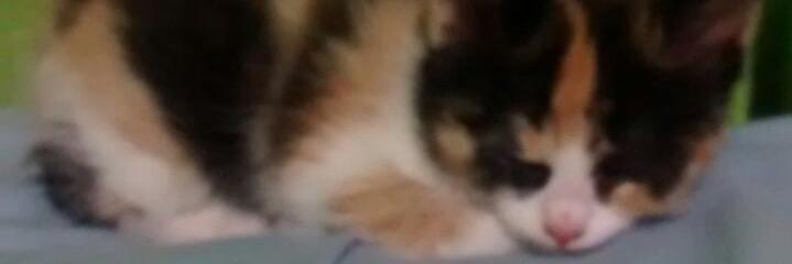 jeka_aranda's profile banner image