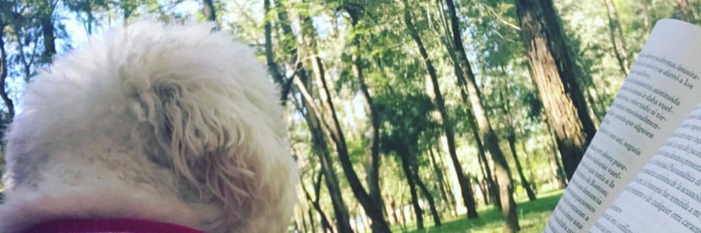almita0604's profile banner image