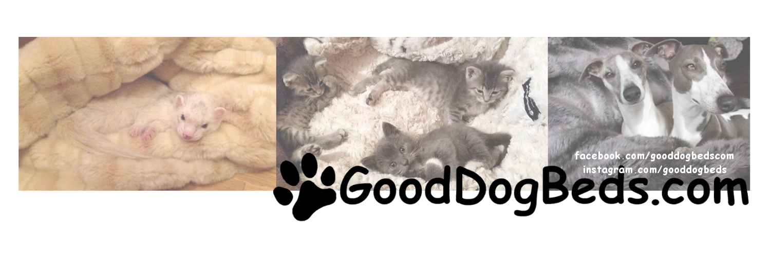 gooddogbeds's profile banner image