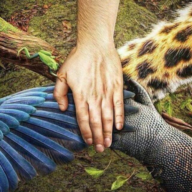 activovallena's profile banner image