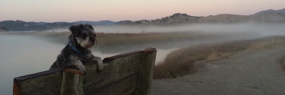 KevinMencer's profile banner image