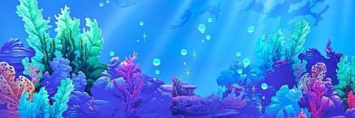 takepamyuu2's profile banner image