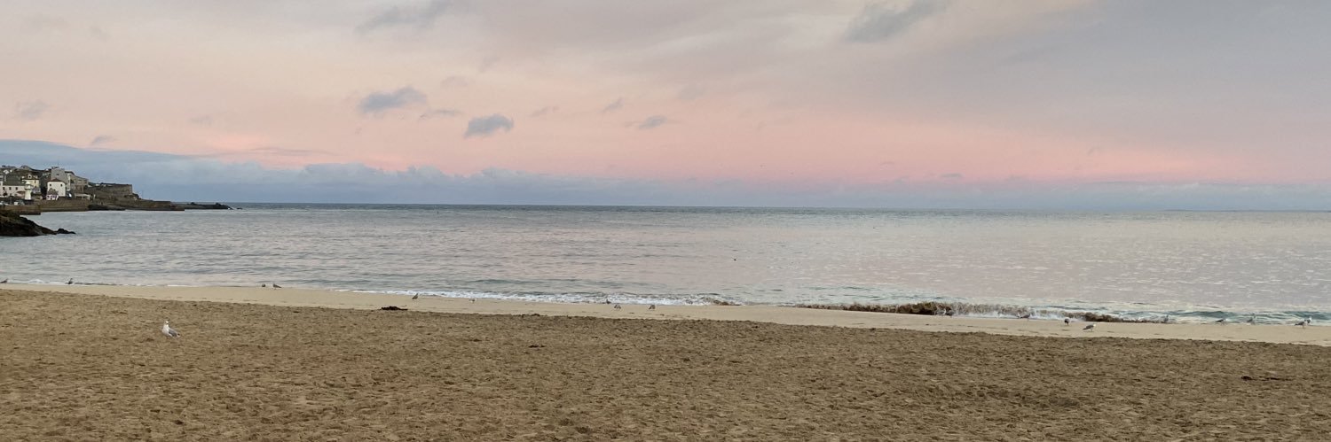 Debra Stottor banner