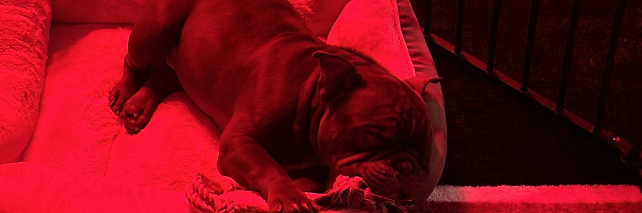 Theonly_spoon's profile banner image