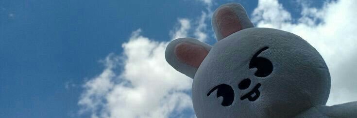 ✩꙳cécile꙳✩ j-14 banner