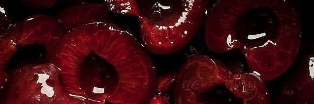 cecescenery's profile banner image