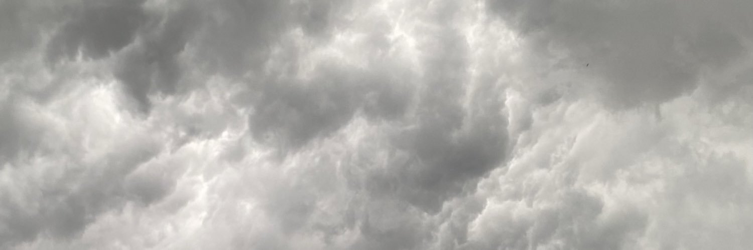 jenniegokil's profile banner image