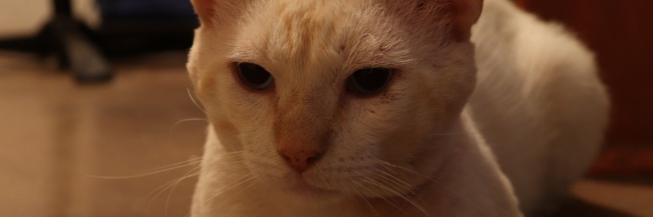 Elesanchezz's profile banner image