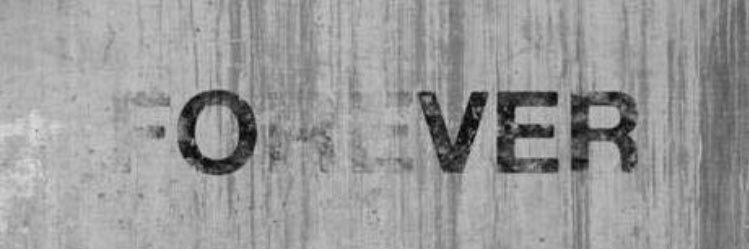 Yea_Dats_Teddy's profile banner image
