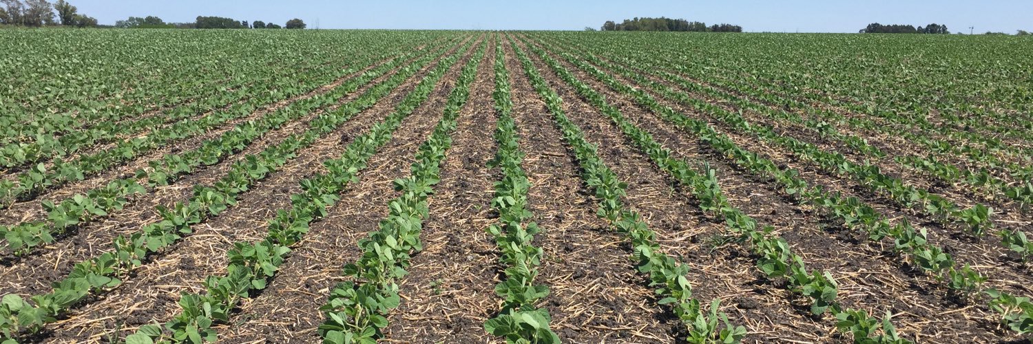 Matias Cafaro Rafuls banner