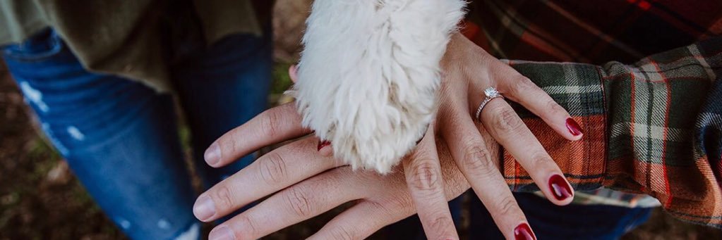 Natalie Kay DeBernardi banner