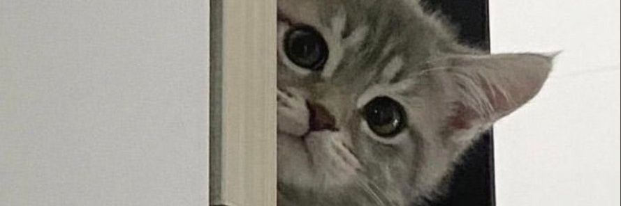 Nini manyun￣ヘ￣ banner