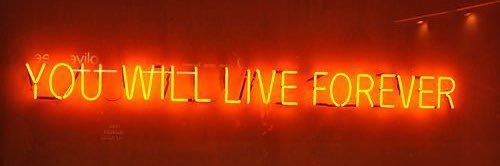 laini_holmes's profile banner image