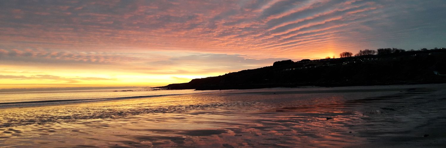 Silvia Paracchini banner