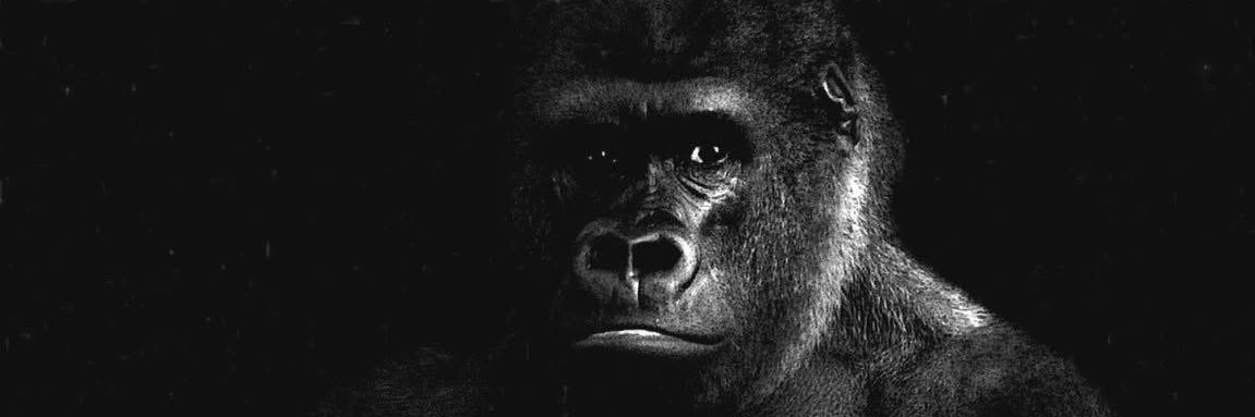 TYREE NUNN 🦍🦍🦍🦍🦍 banner