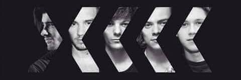 FuckYouINeed1D's profile banner image