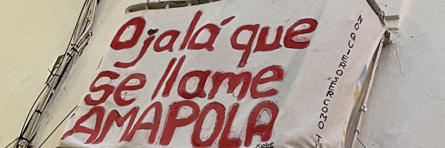 Stormvermin 🇺🇦🇦🇲🇦🇫🇵🇸🇪🇭🇰🇮🇹🇻🇻🇺 banner