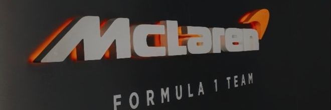papayarace's profile banner image