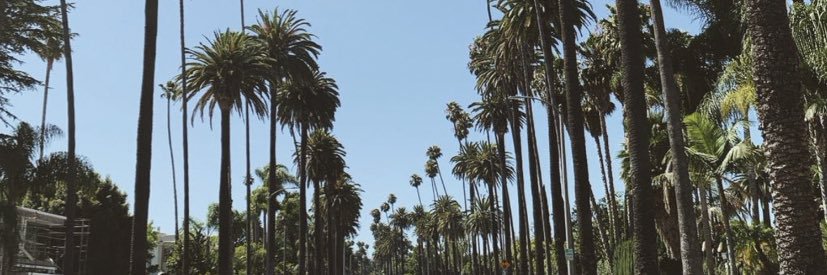 janeisels's profile banner image
