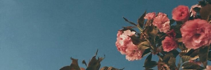 JuliaOria's profile banner image