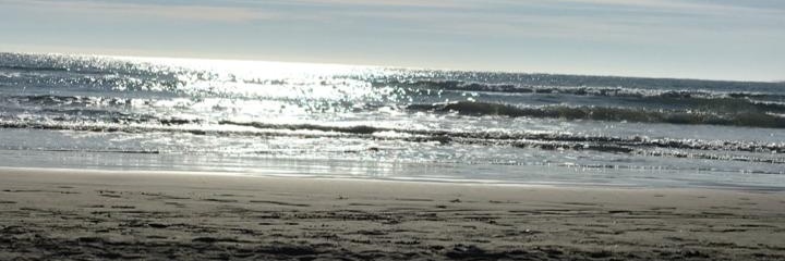 veronica cerda banner