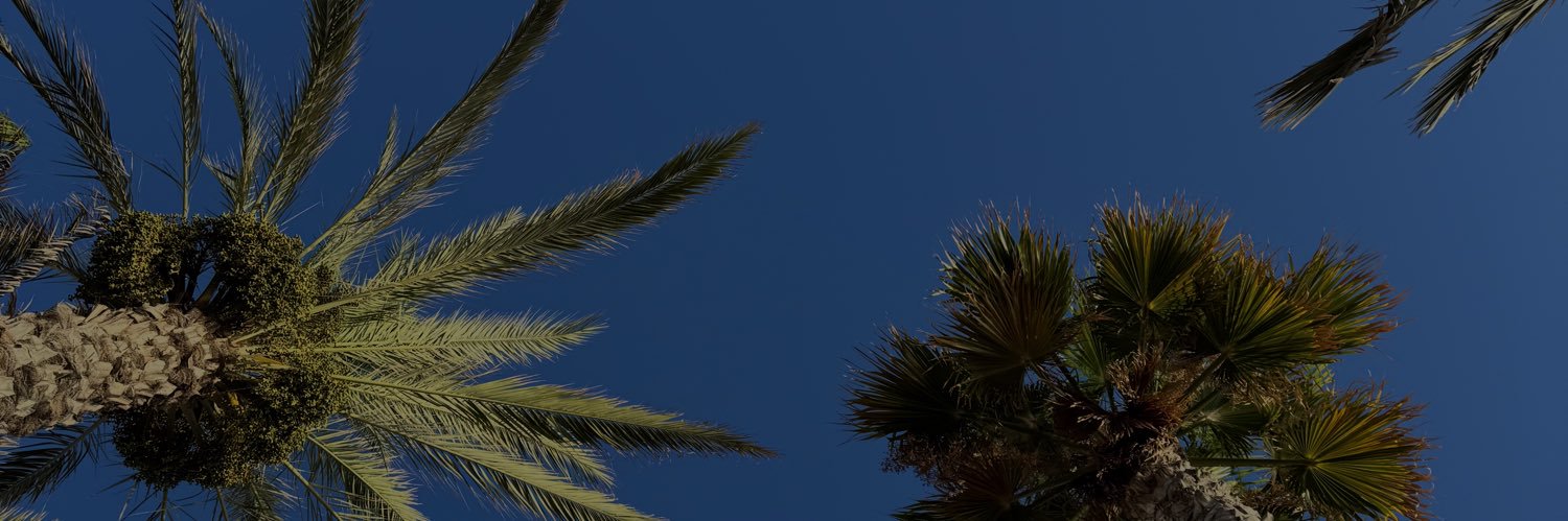 fermonrodd's profile banner image
