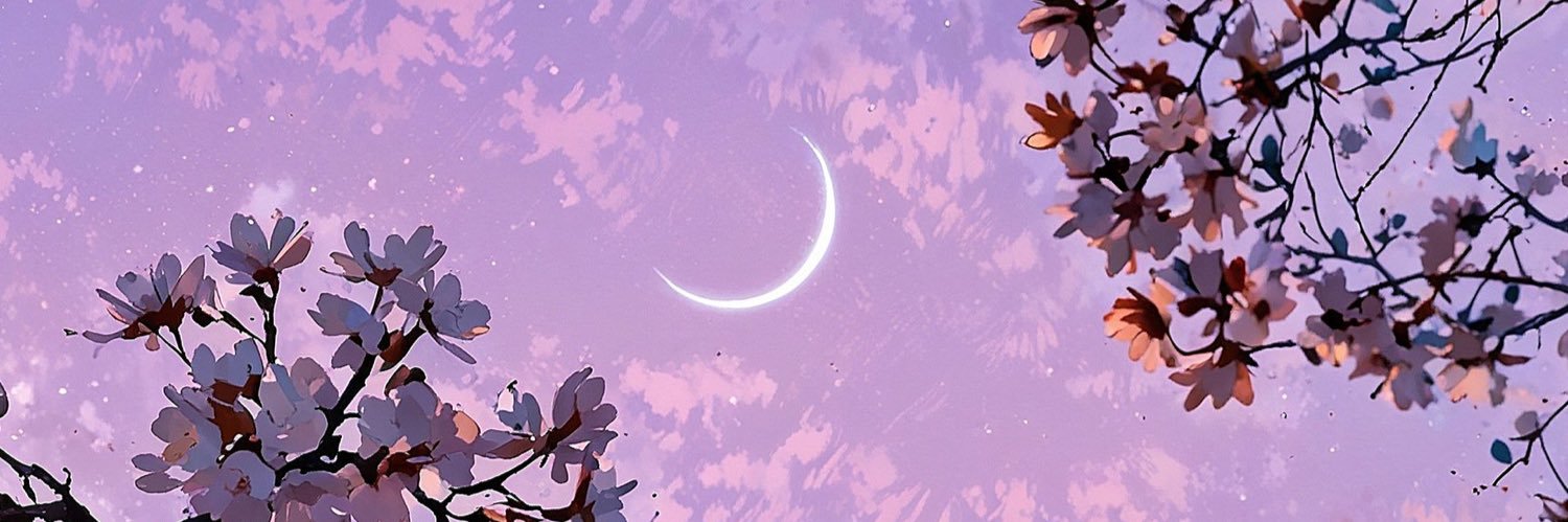 majitosanz's profile banner image
