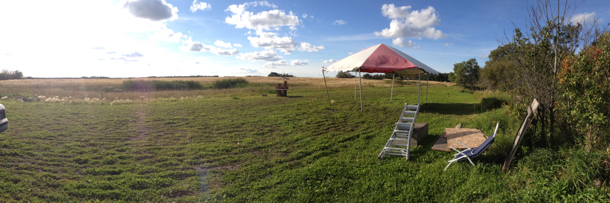 harrison ruopp banner