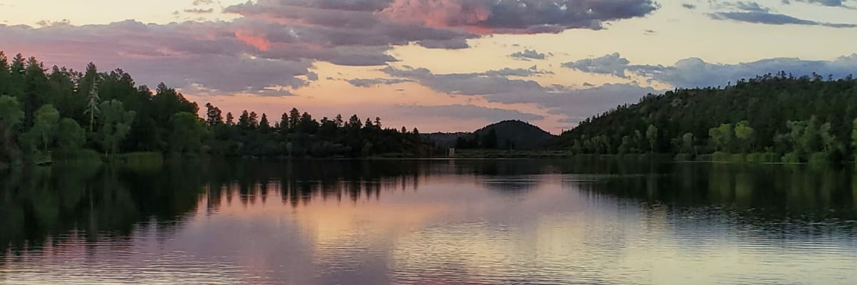 Harman_Dali's profile banner image