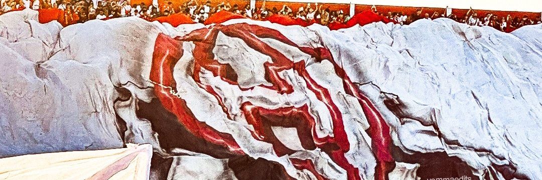 Raggilea's profile banner image