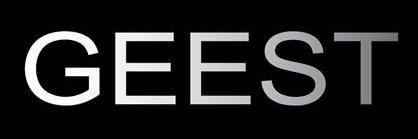 Geest Consultancy banner