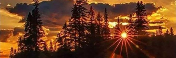 kstu1717 Profile Banner