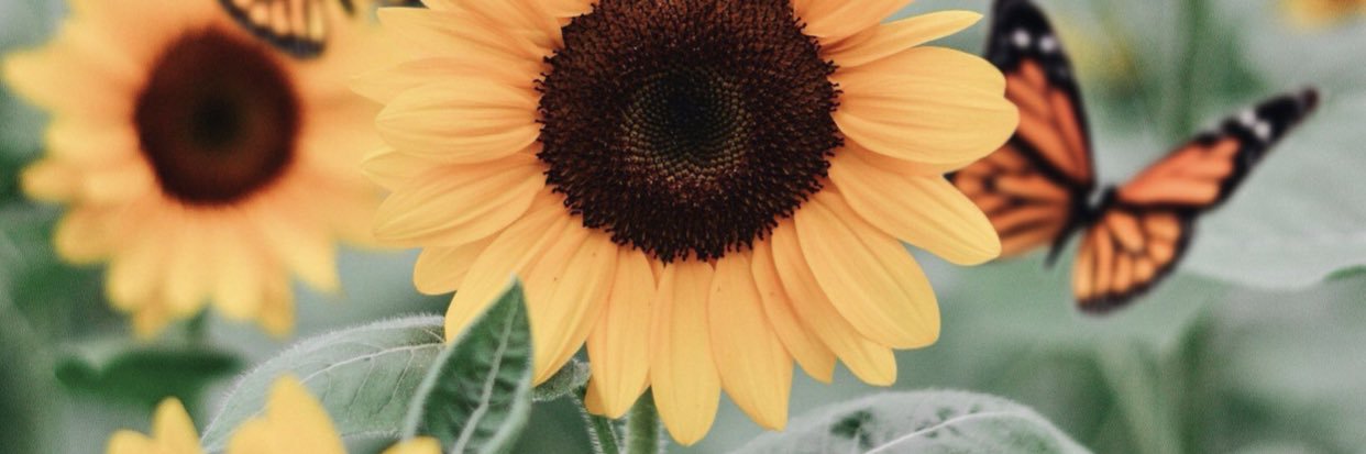 sullivan23_'s profile banner image