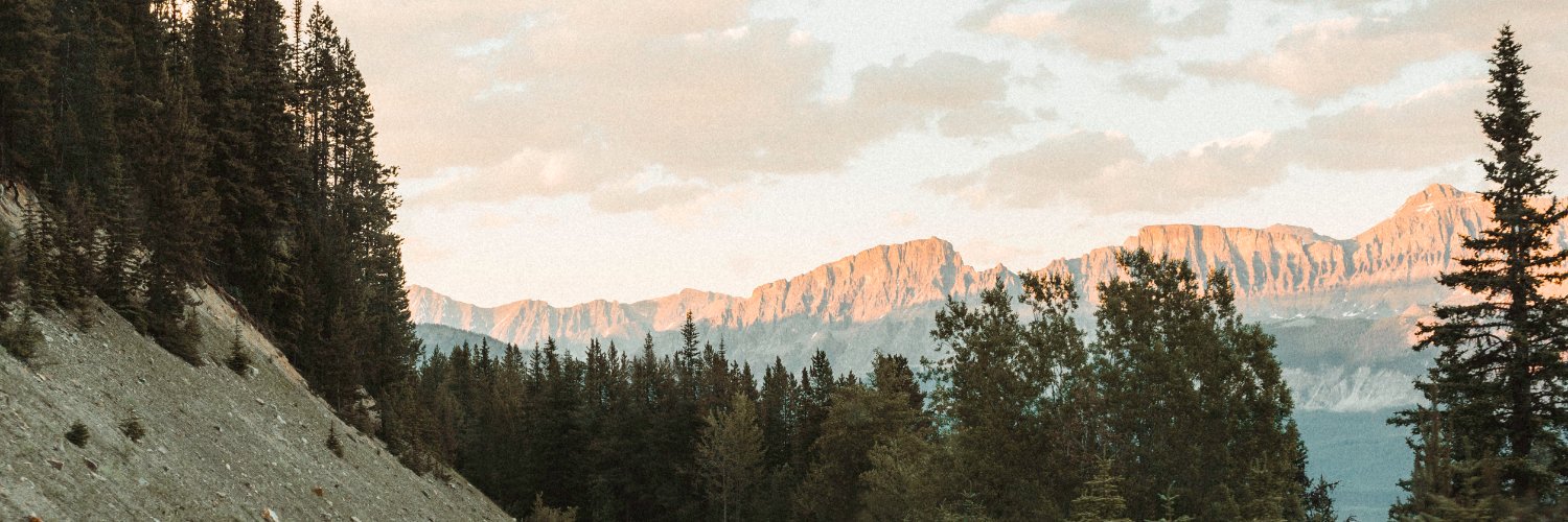saraandreola's profile banner image