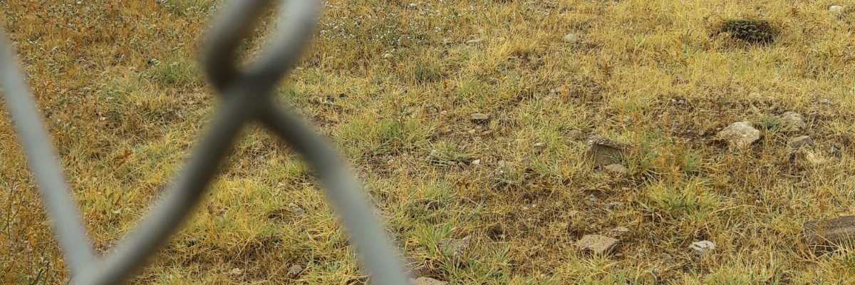 OSonyolcu's profile banner image