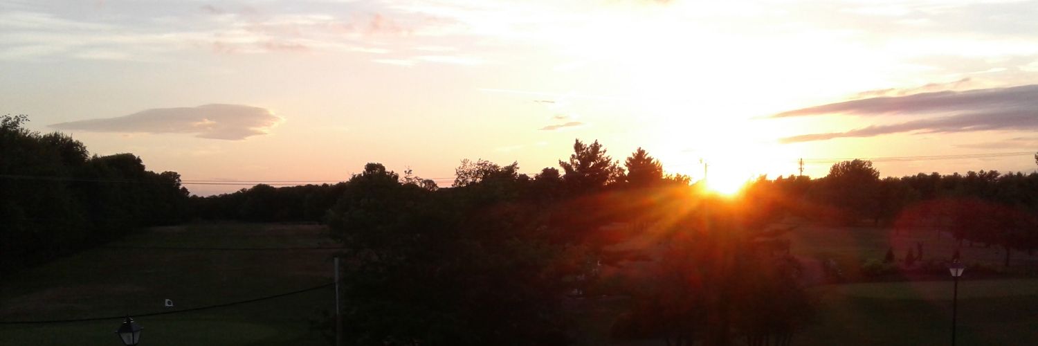 Ingrid Mitchell banner