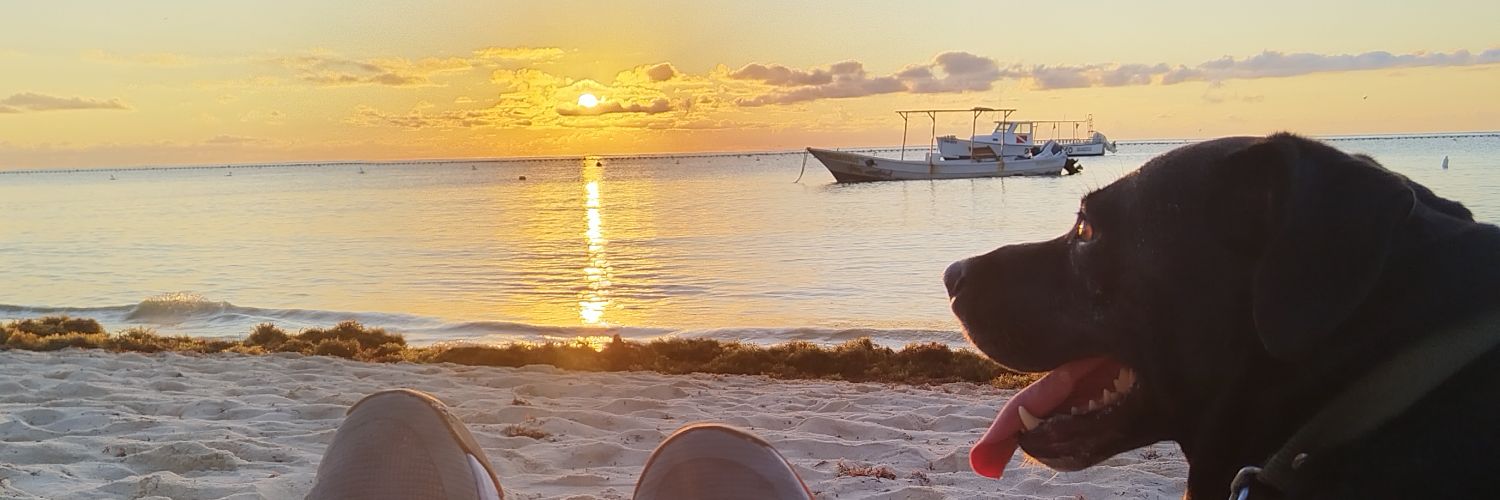 ROY_GG's profile banner image