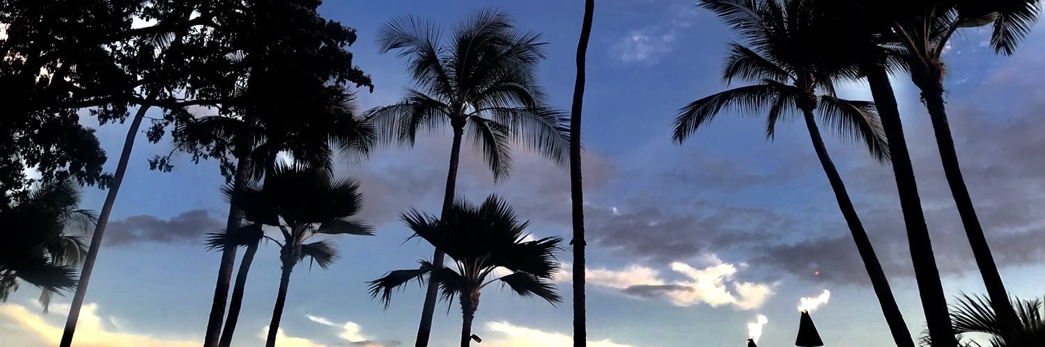 laceyfrei's profile banner image