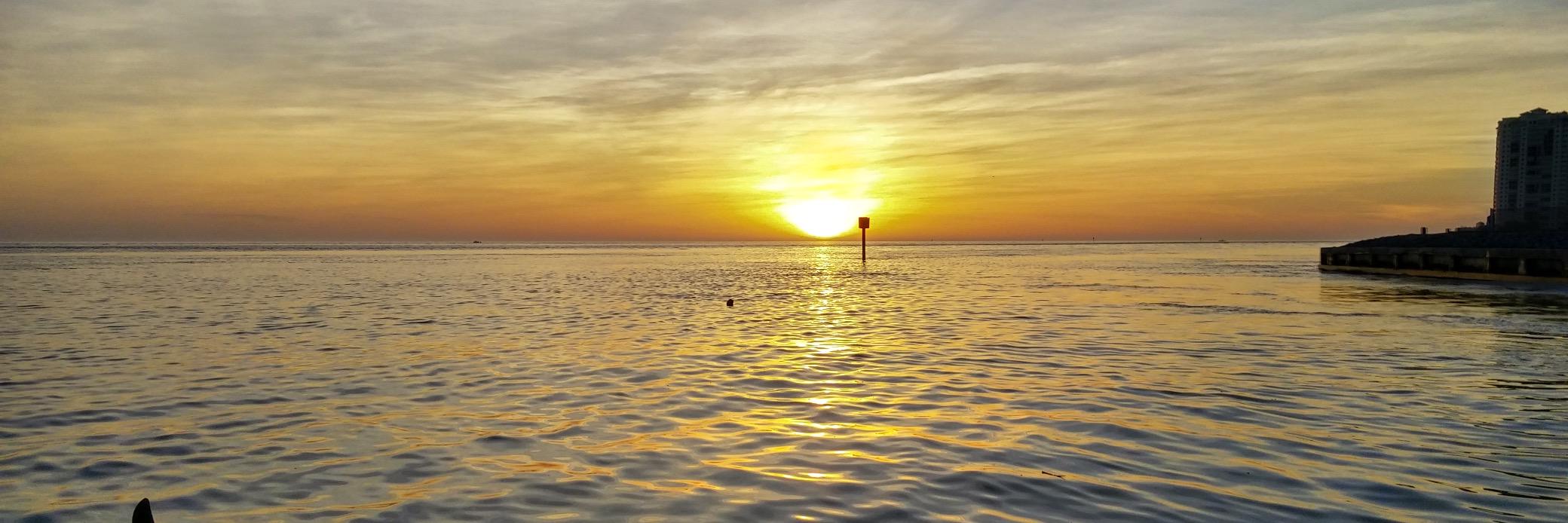 talltp1's profile banner image