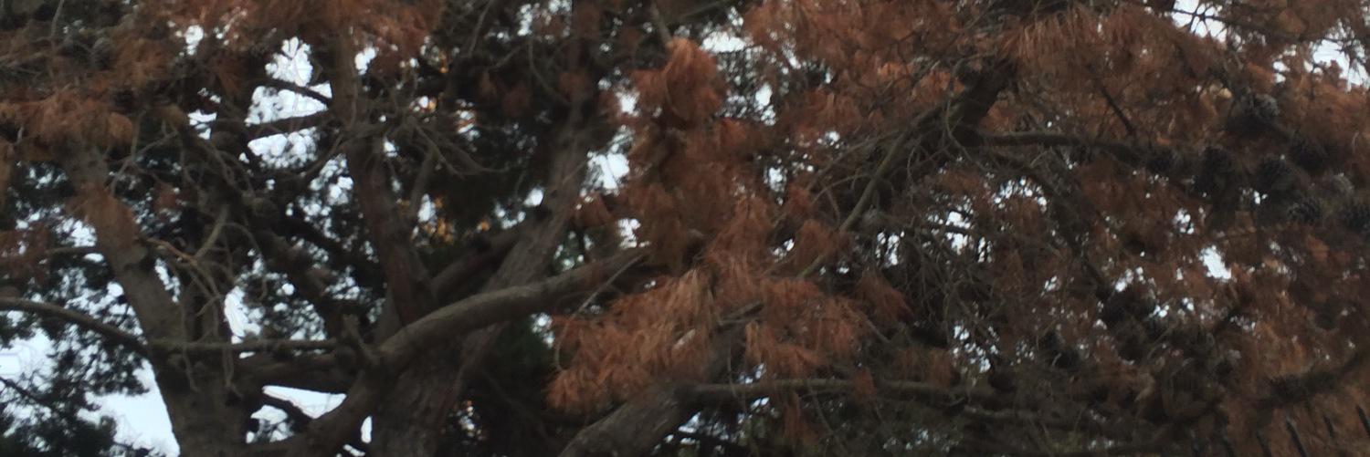 FitzIts's profile banner image