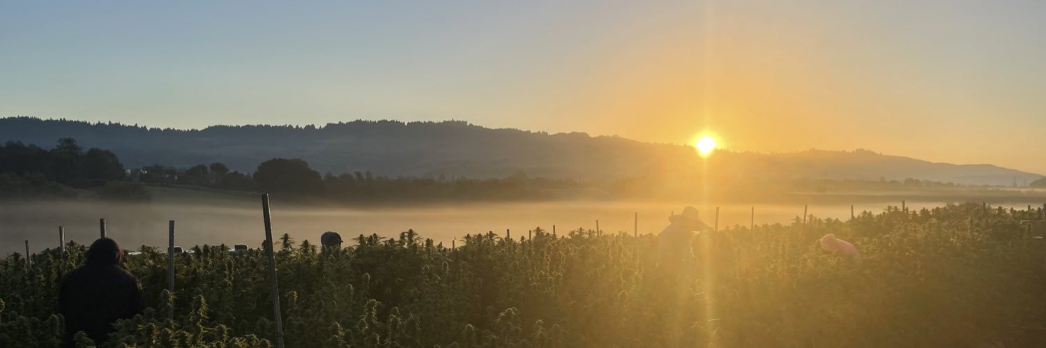 msshelbae_3's profile banner image