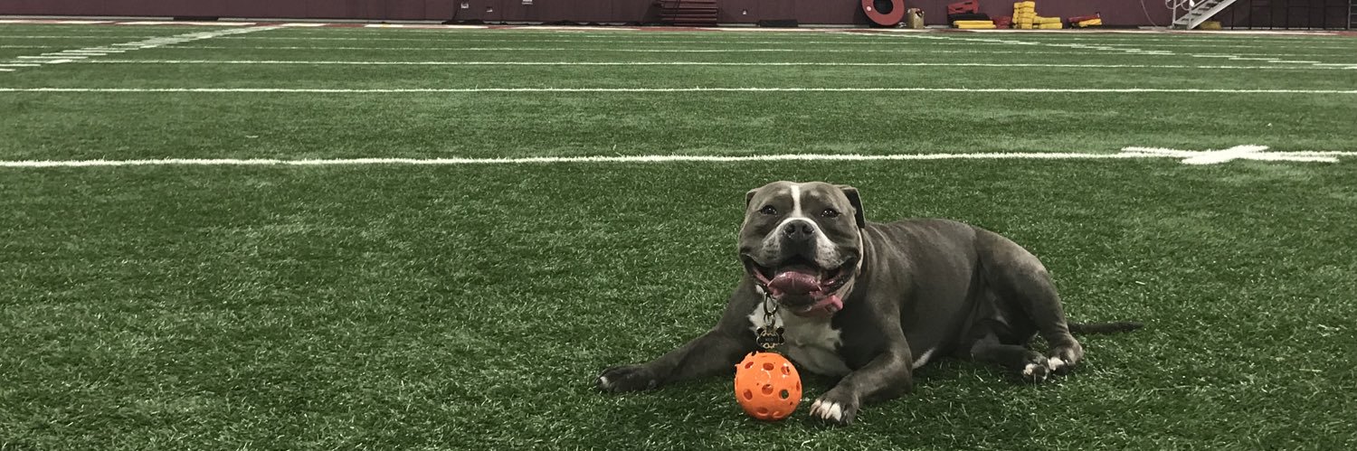 Austin Wilson banner