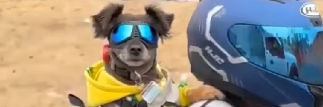 GustaHernandes's profile banner image