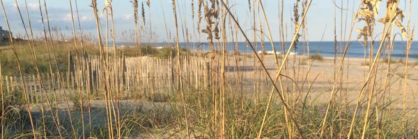 karrivenn Profile Banner